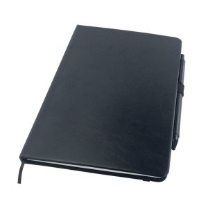 20784_Notebook_01