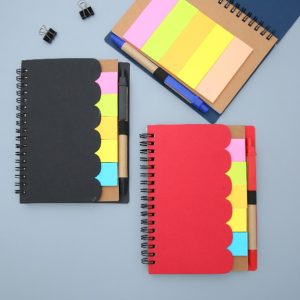 24217_notebook_01